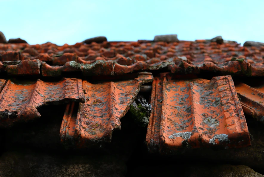 Damaged Tiles - Roofing Problems in Australia